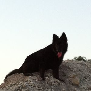 Meet your Posher, Marcus